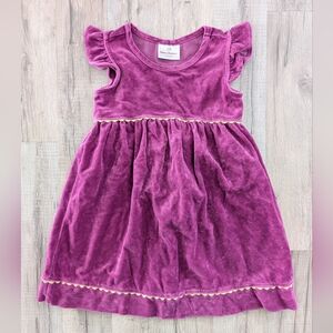 Hanna Andersson Purple Velvet Dress, 4T (V2)